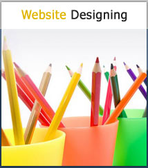 Web Design Service