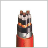 Usha Switches & Cable Co