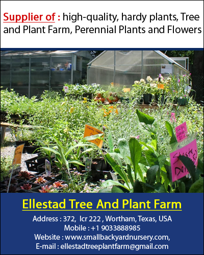 Pushkal Enterprises Ad